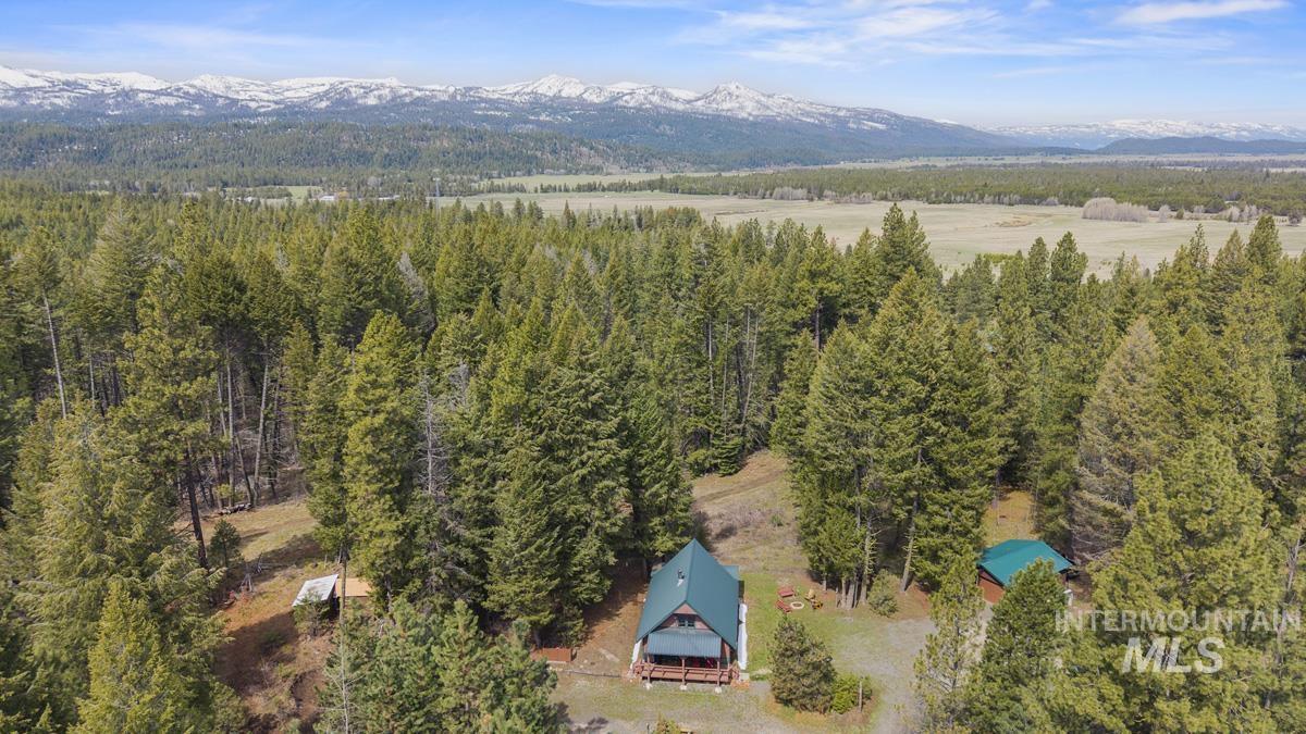 46 Blue Spruce Lane Cascade, ID 83611 - Photo 7 of 38