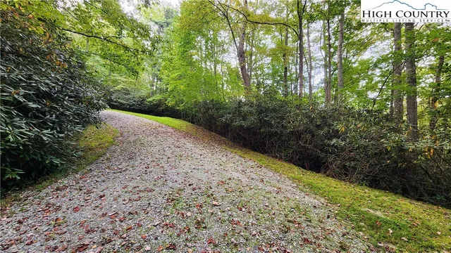 a view of a pathway both side of yard