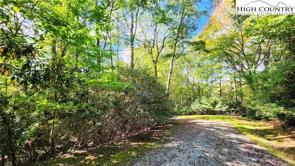 a view of yard with green space