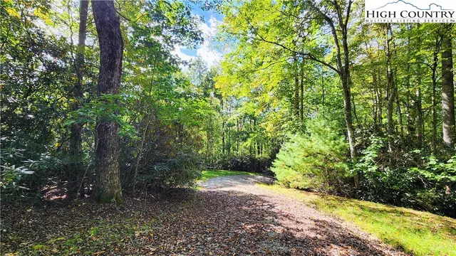 a view of backyard with green space