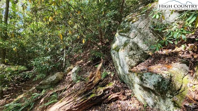 a map view of location