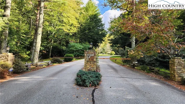 a park with large trees