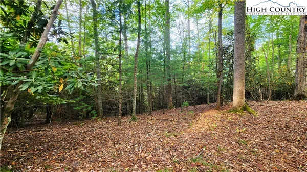 a pathway of a yard