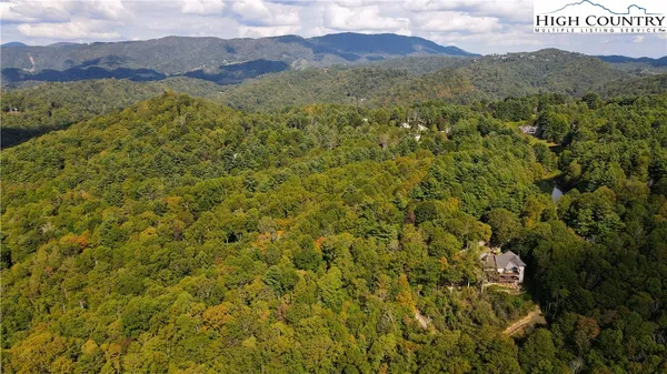 a view of a lush green hillside and a houses