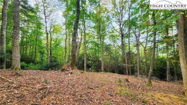 a view of backyard with green space