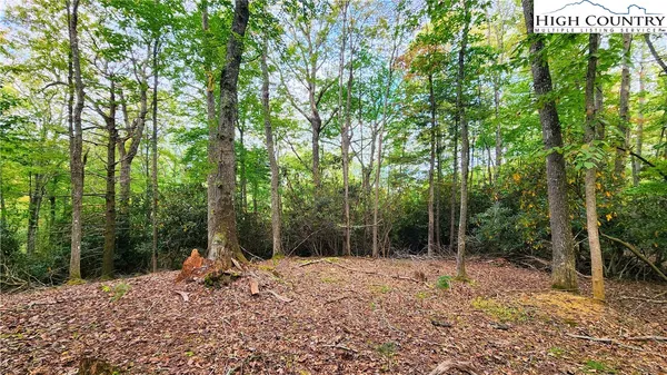 a backyard of a house with lots of trees