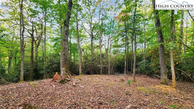 a backyard of a house with lots of trees