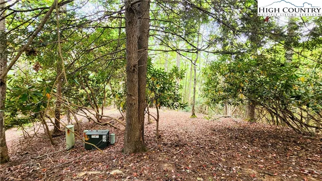 a view of outdoor space