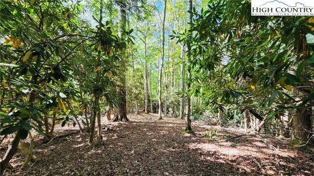 a view of outdoor space and trees