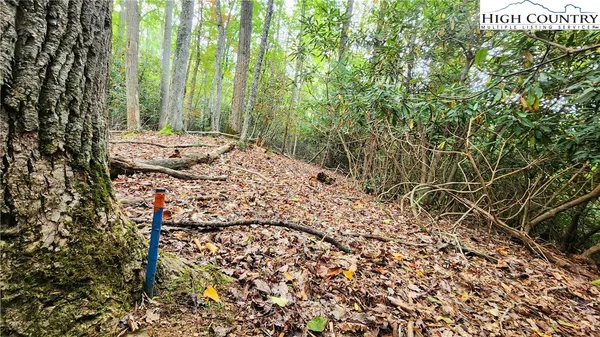 a view of a backyard of the house