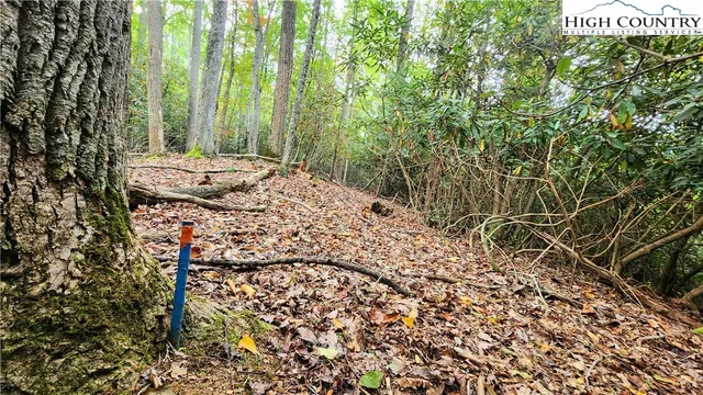 a view of a backyard of the house