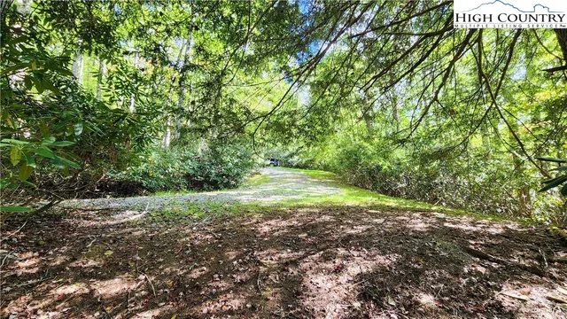 a view of yard with green space