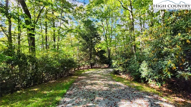 a view of a yard with plants and tree