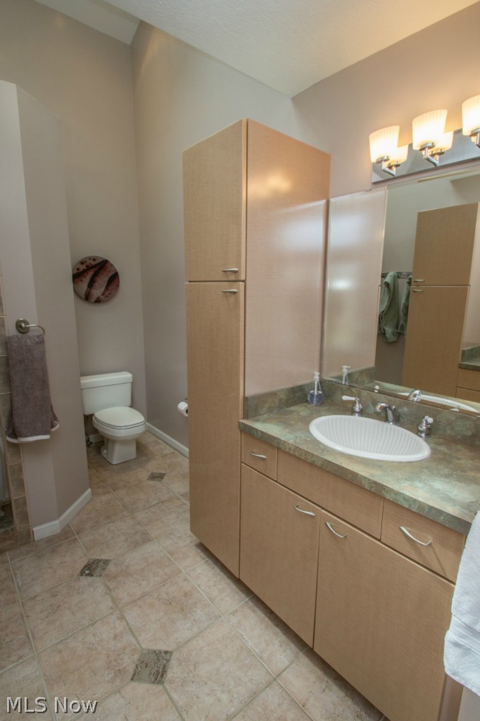 7332 Hillside Road Independence, OH 44131 - Photo 10 of 25 Master Bath View 2