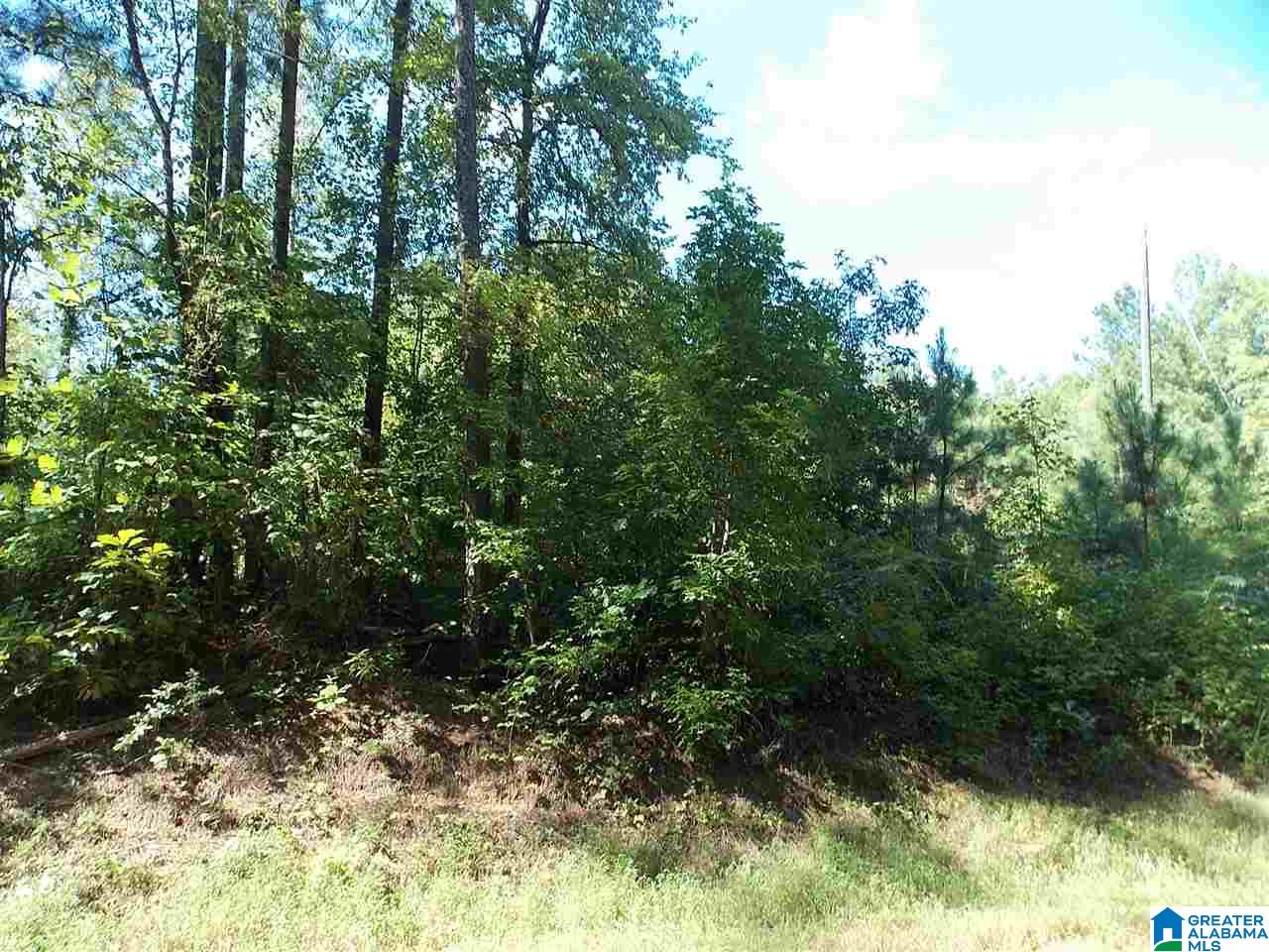 Fairview Church Road, Unit 16 Oneonta, AL 35121 - Photo 1 of 3