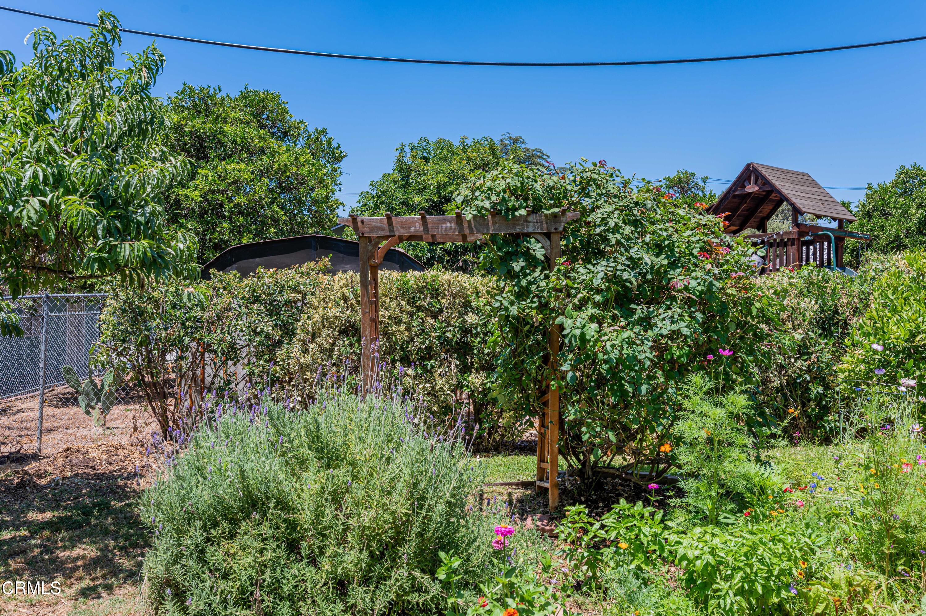1265 North Wilson Avenue Pasadena, CA 91104 - Photo 31 of 48 a view of a garden