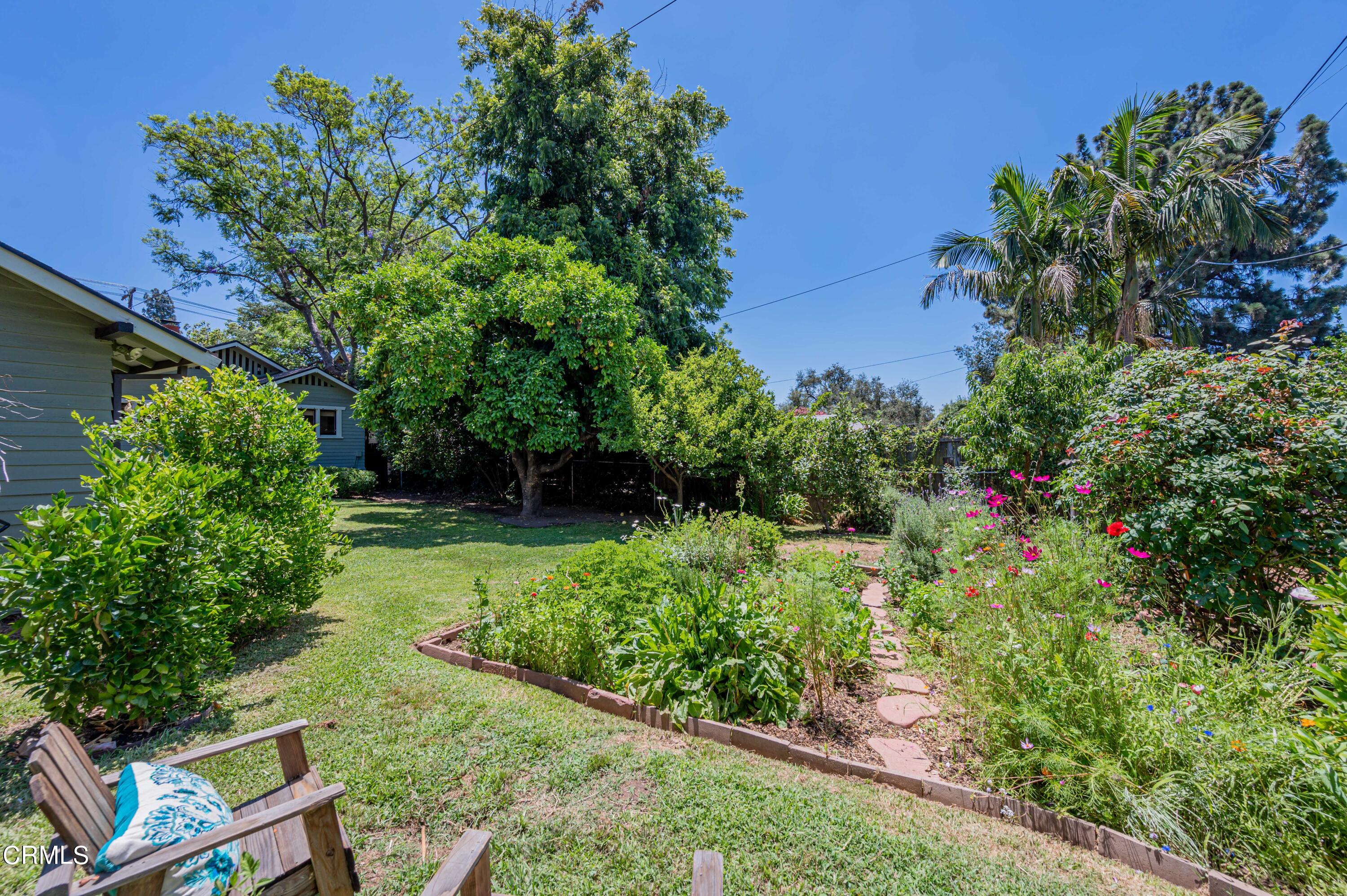 1265 North Wilson Avenue Pasadena, CA 91104 - Photo 33 of 48 a view of a garden with plants and a bench