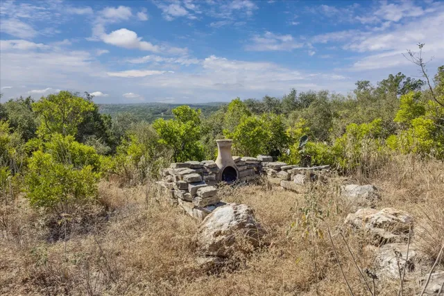 a view of a yard with plants and a bench
