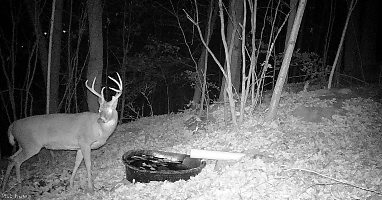 Boone Road Kimbolton, OH 43749 - Photo 27 of 30