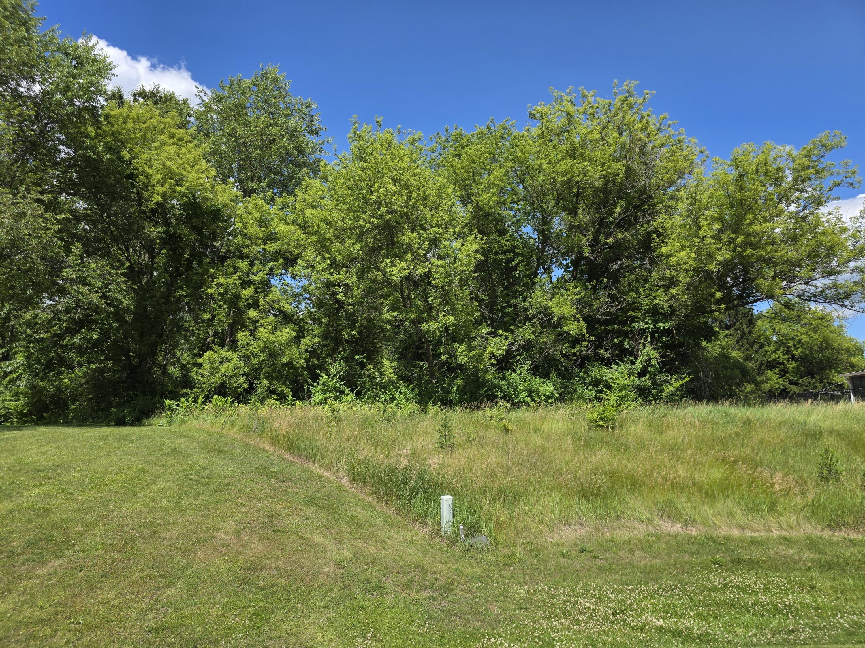 Lot 19 Burning Tree Street Jackson, MI 49201 - Photo 3 of 3 20260615_154604