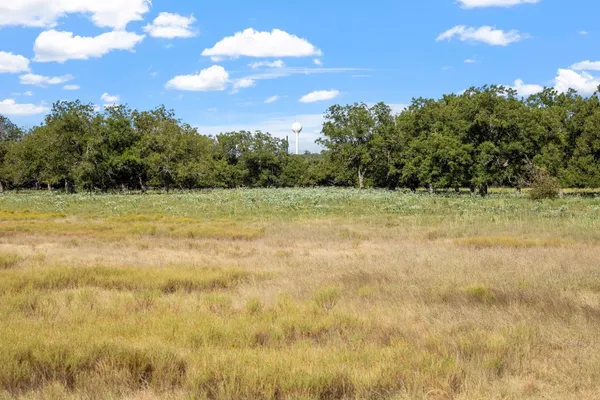 a view of a field with an trees in the background