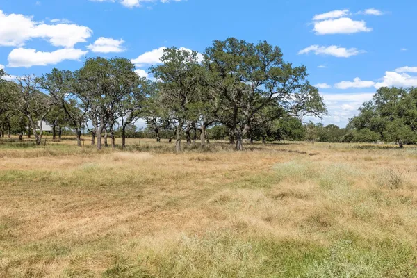 a view of outdoor space with trees