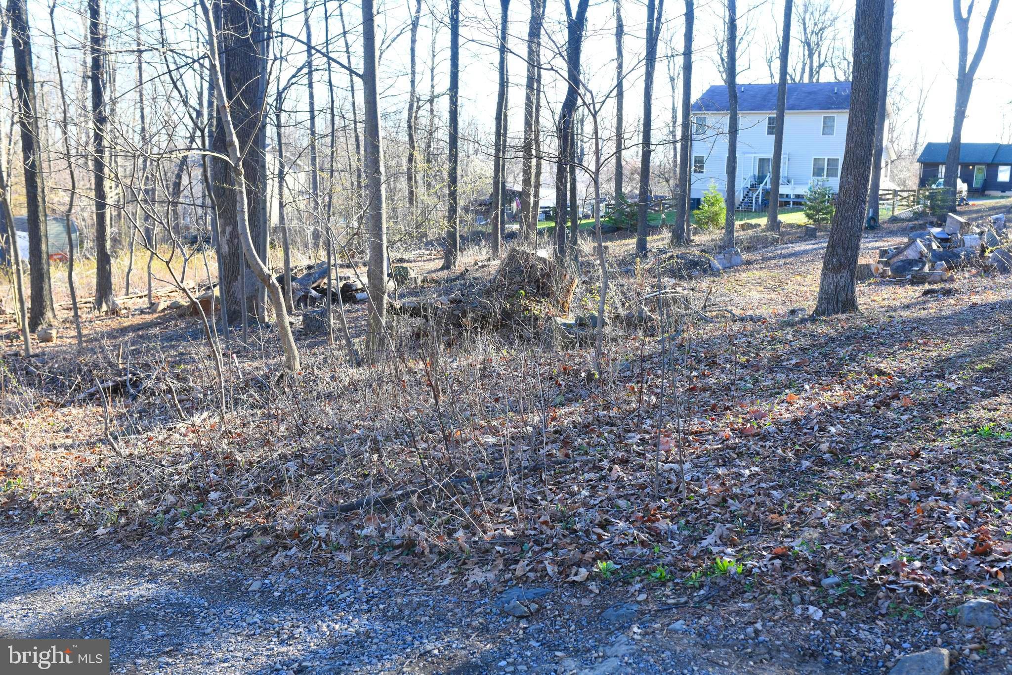 Apache Trail Chester Gap, VA 22623 - Photo 2 of 6