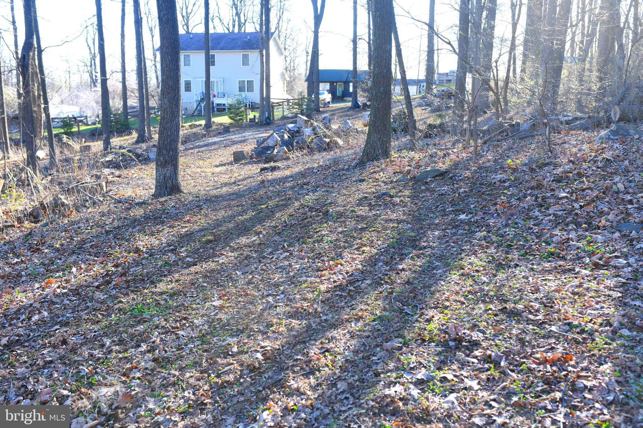 Apache Trail Chester Gap, VA 22623 - Photo 3 of 6