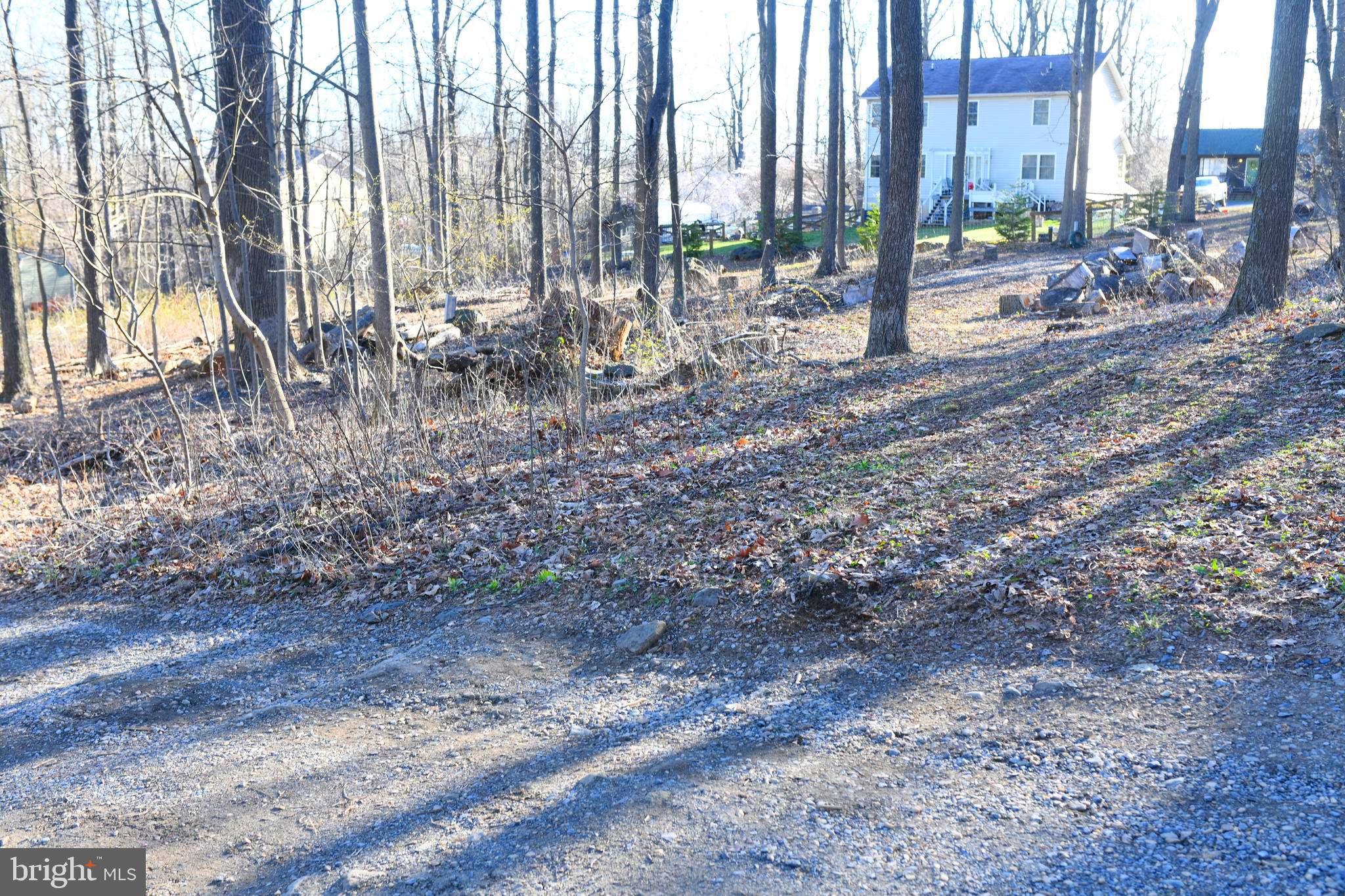 Apache Trail Chester Gap, VA 22623 - Photo 4 of 6