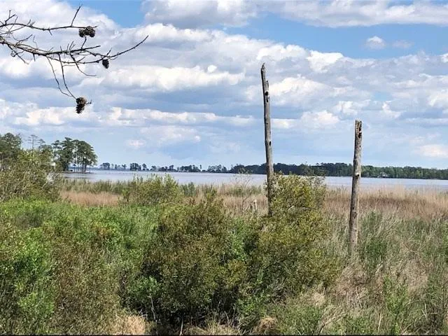 $10,000 | 45 North Pointe Vista Drive, Belhaven, NC 27810