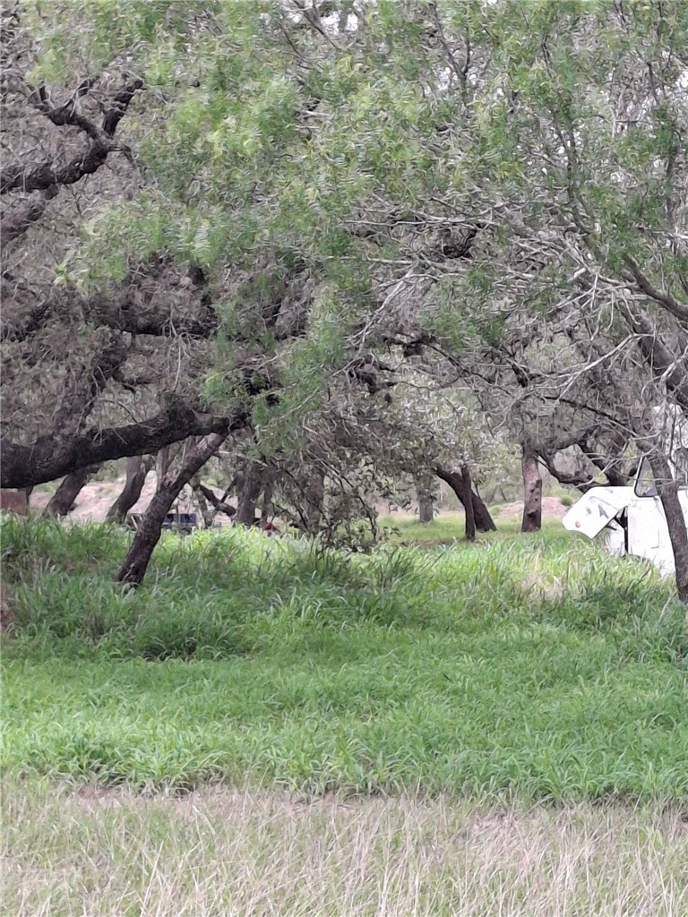 9213 Pvt 6005 Road Sinton, TX 78387 - Photo 5 of 24