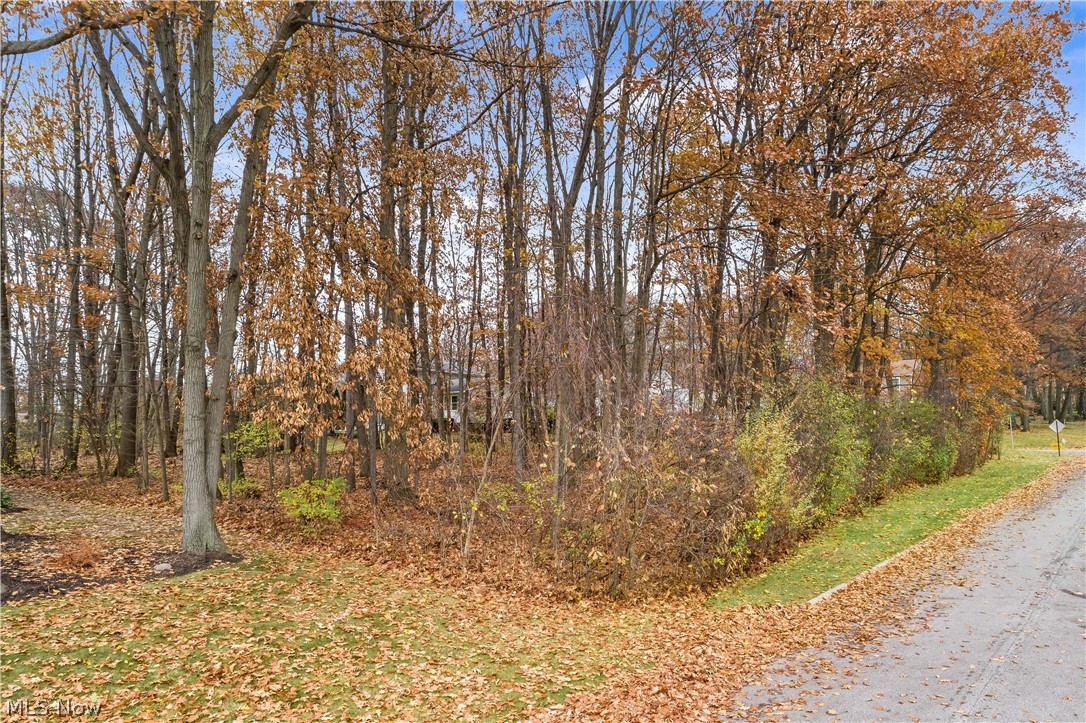 Inverness Road Akron, OH 44313 - Photo 10 of 11