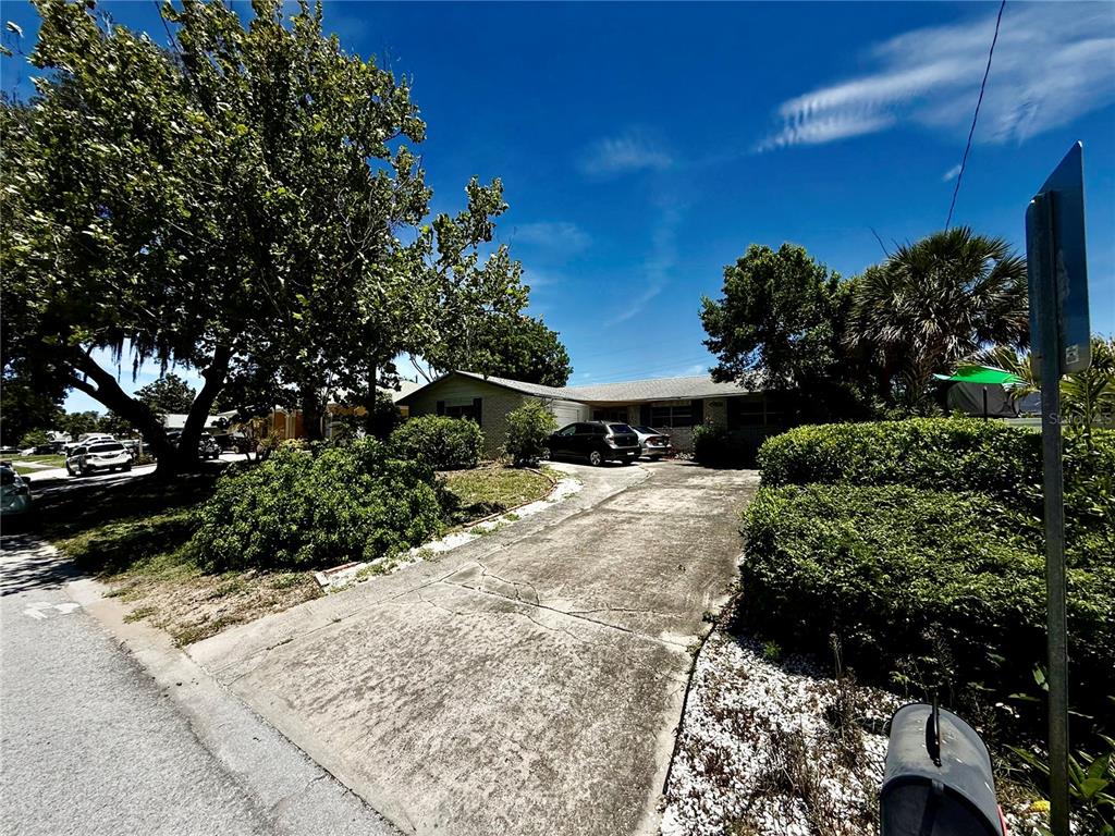 1004 Connecticut Road Tarpon Springs, FL 34689 - Photo 1 of 57 a view of a yard
