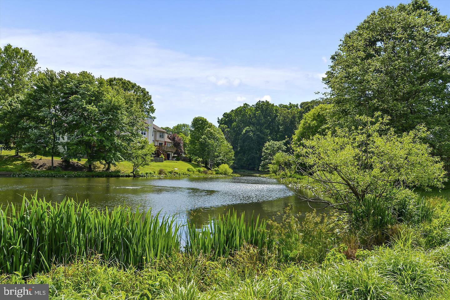 24 Wilcox Court Silver Spring, MD 20906 - Photo 24 of 35 Tivoli lake