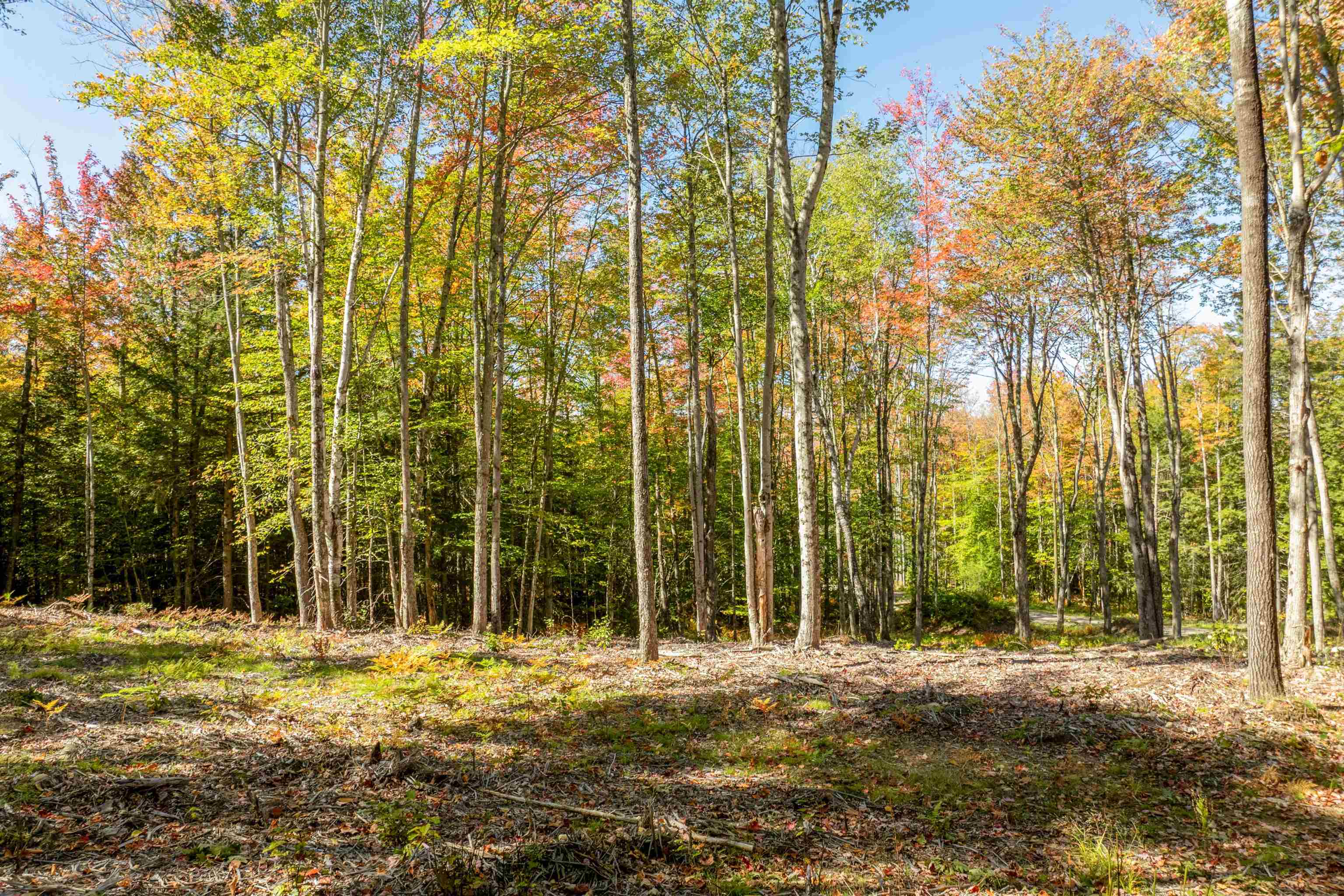 Butterfly Street Campton, NH 03223 - Photo 11 of 13