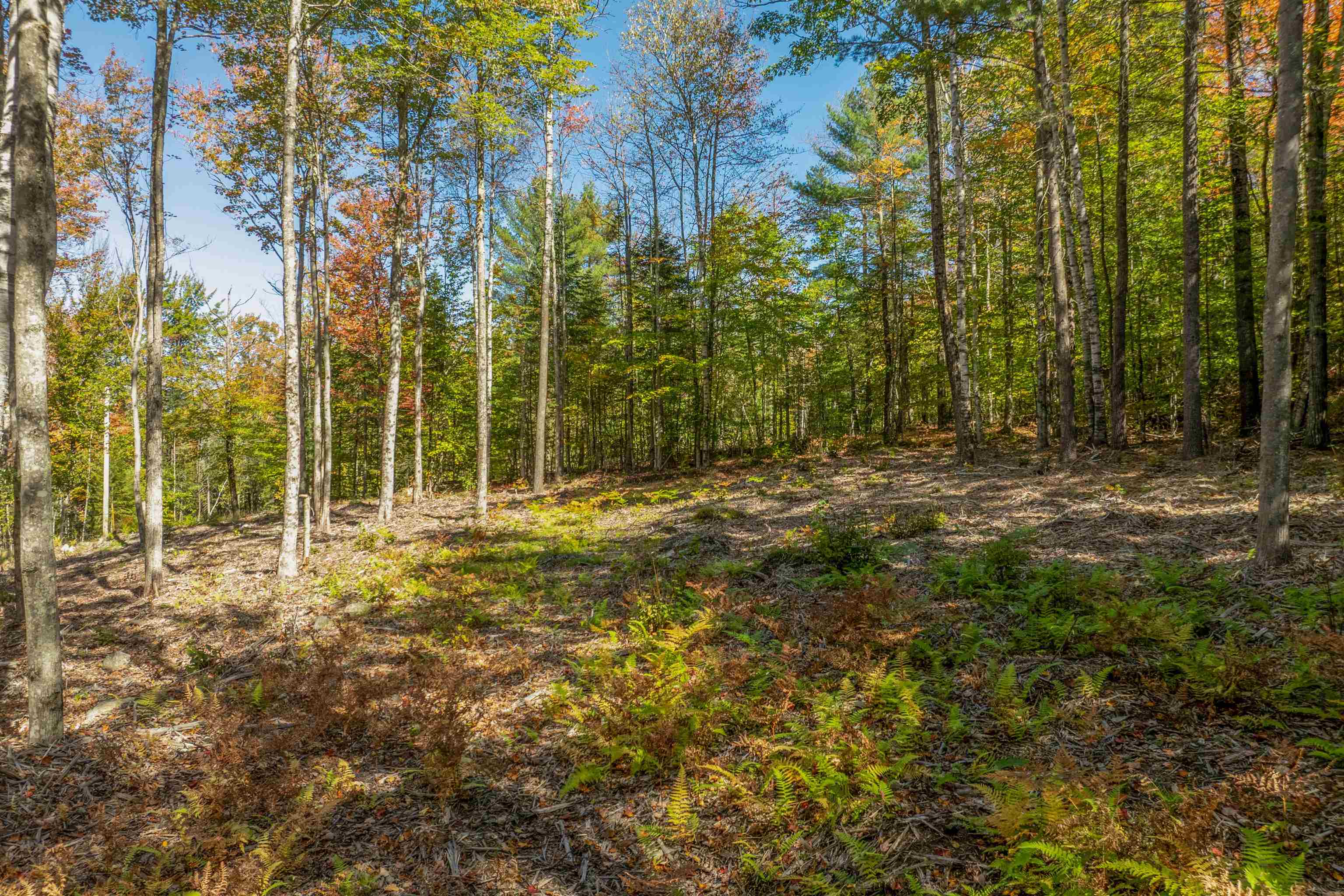 Butterfly Street Campton, NH 03223 - Photo 12 of 13