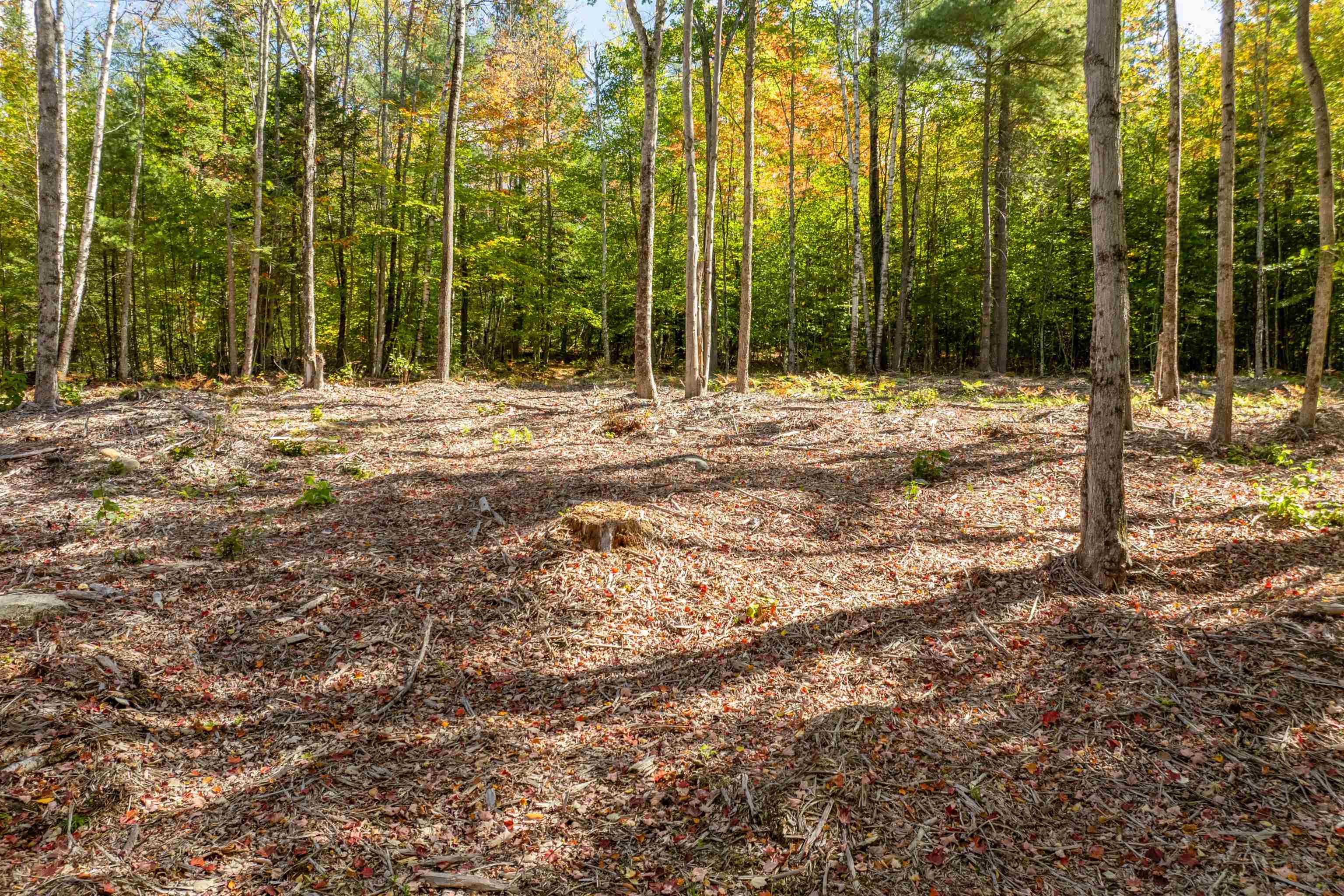 Butterfly Street Campton, NH 03223 - Photo 13 of 13