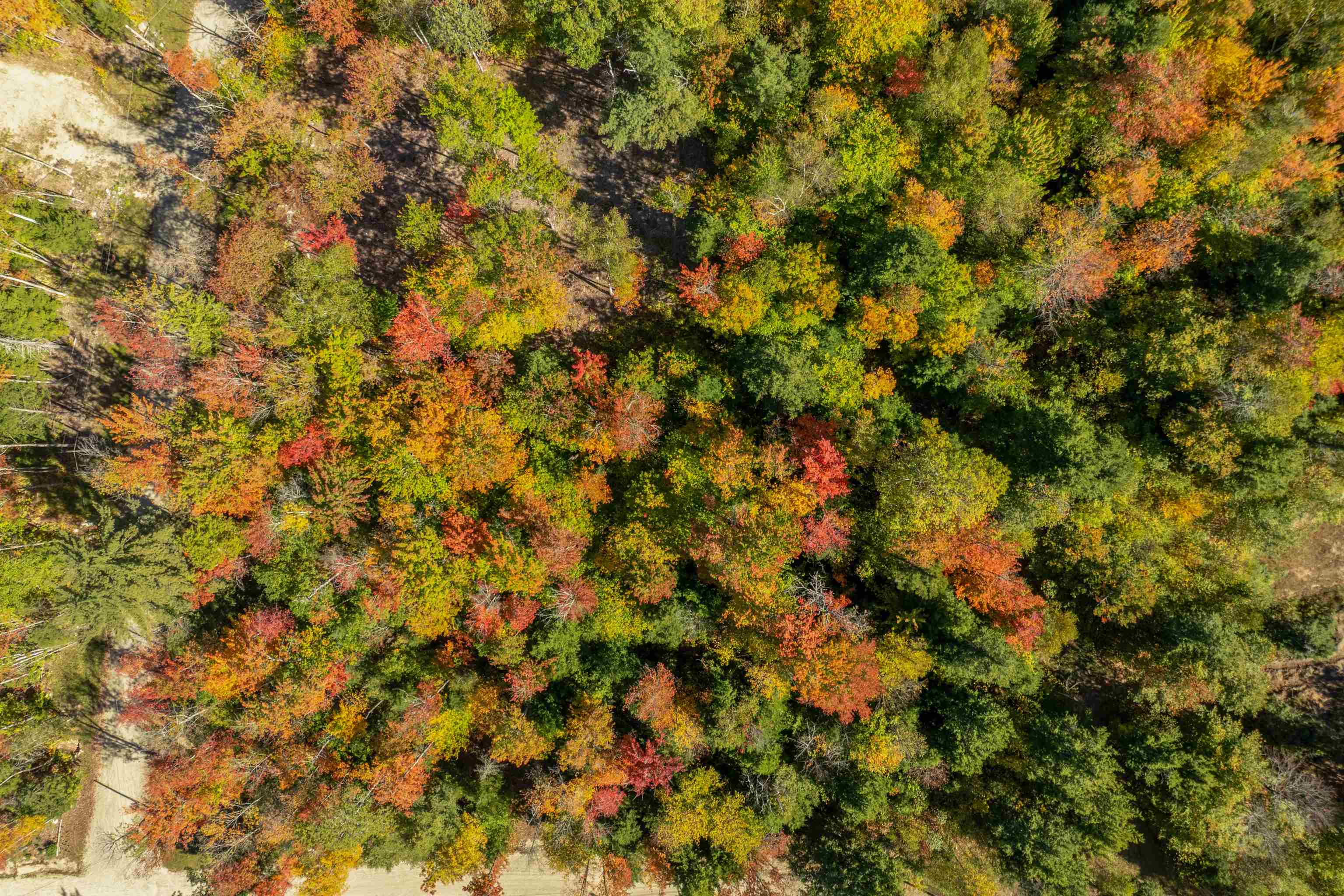 Butterfly Street Campton, NH 03223 - Photo 3 of 13