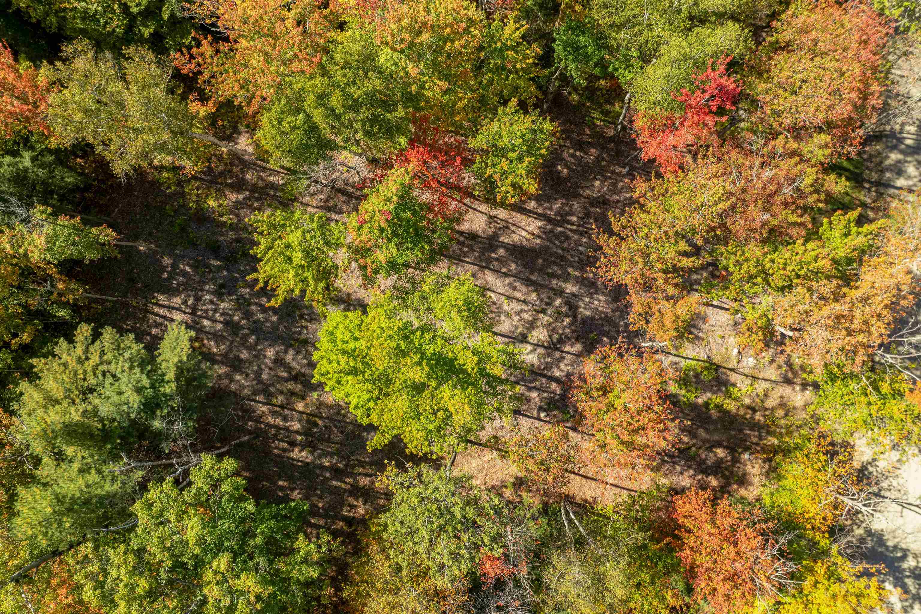 Butterfly Street Campton, NH 03223 - Photo 4 of 13