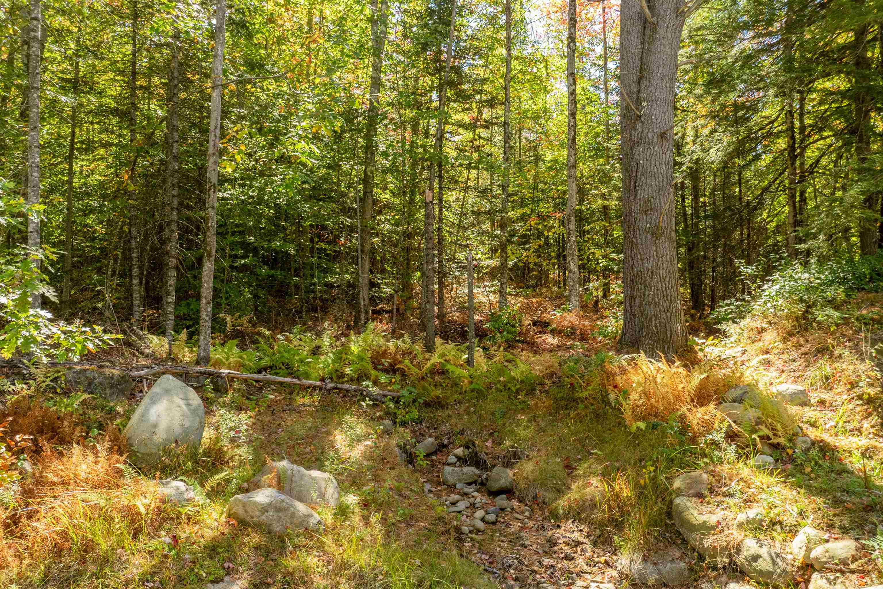 Butterfly Street Campton, NH 03223 - Photo 8 of 13