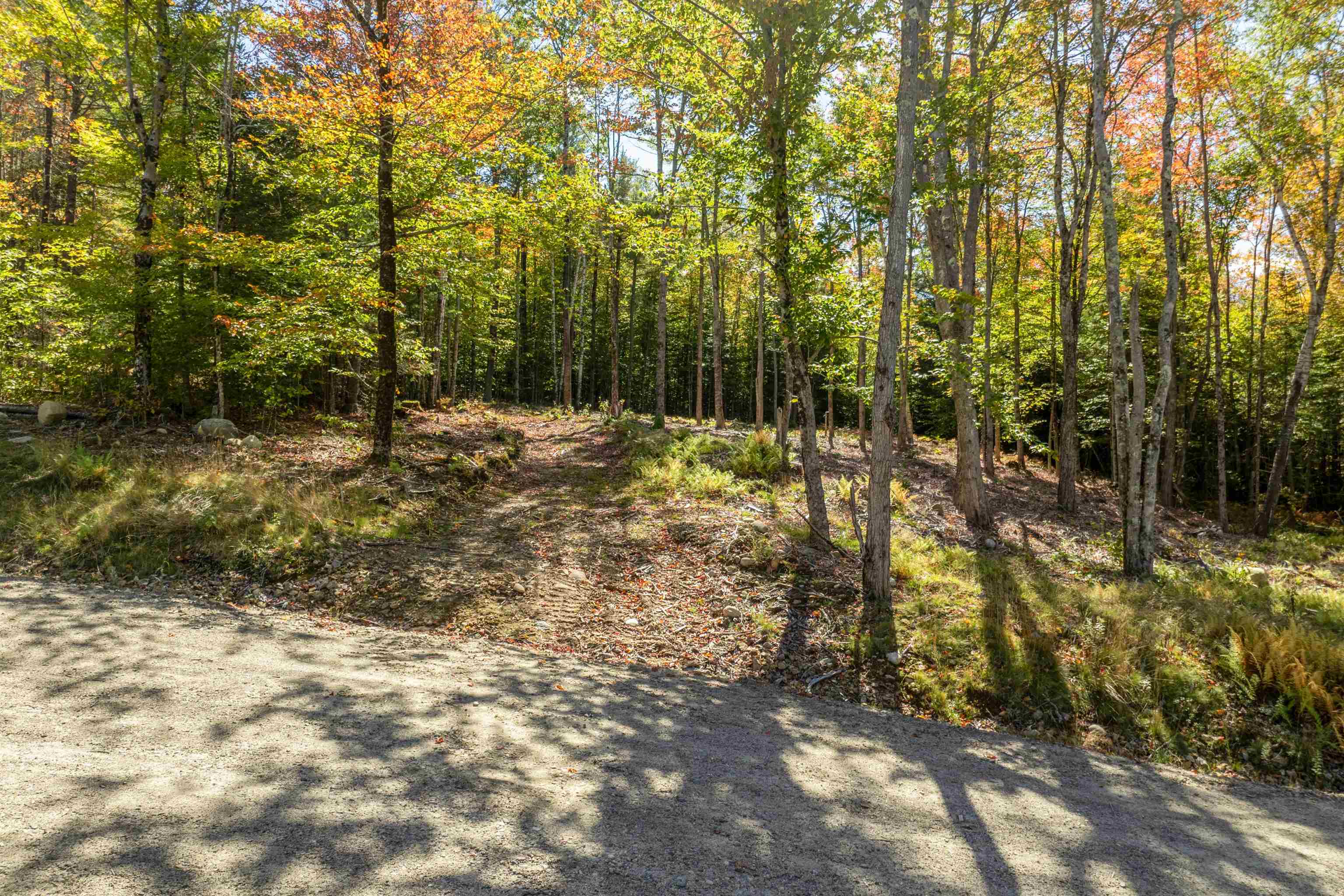 Butterfly Street Campton, NH 03223 - Photo 10 of 13