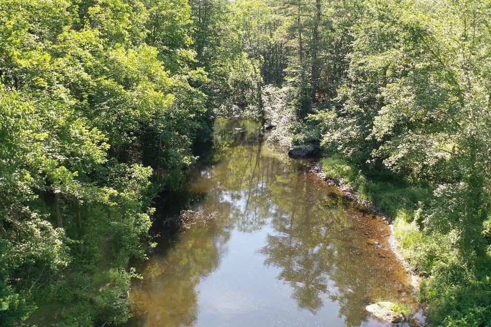 0 Suncook Valley Road Center Barnstead, NH 03225 - Photo 7 of 28