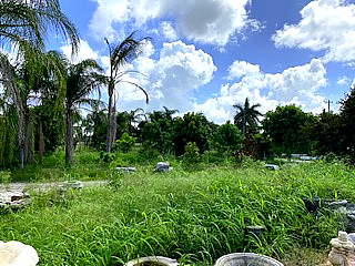 2950 South Brocksmith Road Fort Pierce, FL 34945 - Photo 22 of 45 Brocksmith Road47