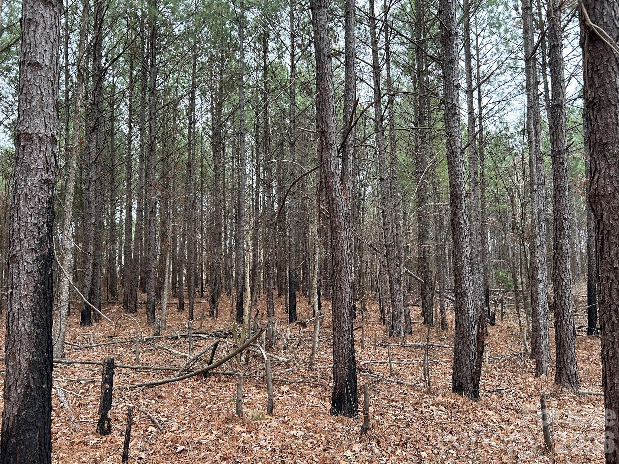 1440 Carl Taylor Road Peachland, NC 28133 - Photo 14 of 21 a view of outdoor space with chairs