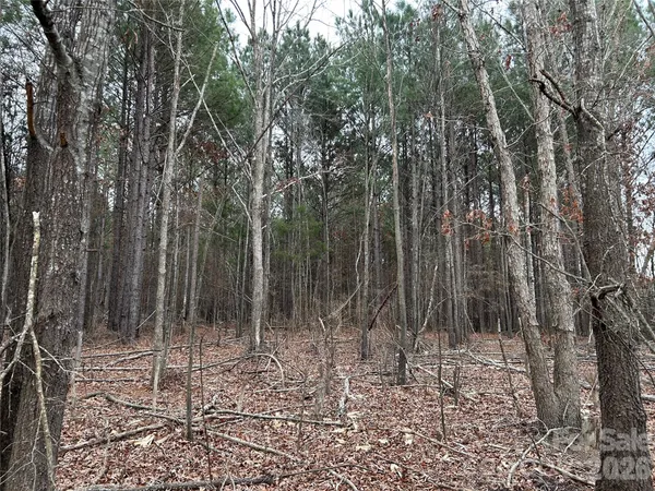 $750,000 | 1440 Carl Taylor Road, Peachland, NC 28133