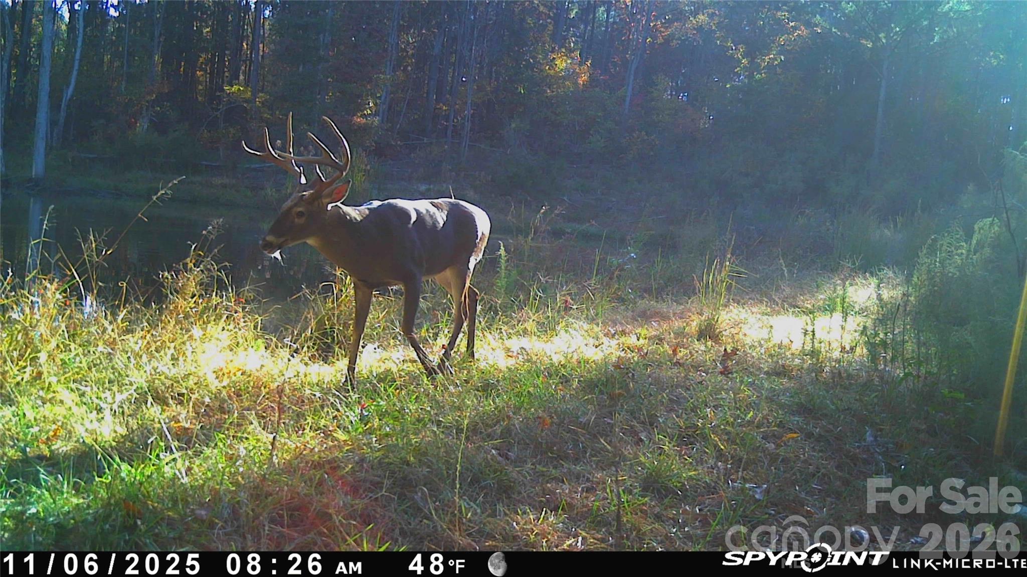 1440 Carl Taylor Road Peachland, NC 28133 - Photo 16 of 21