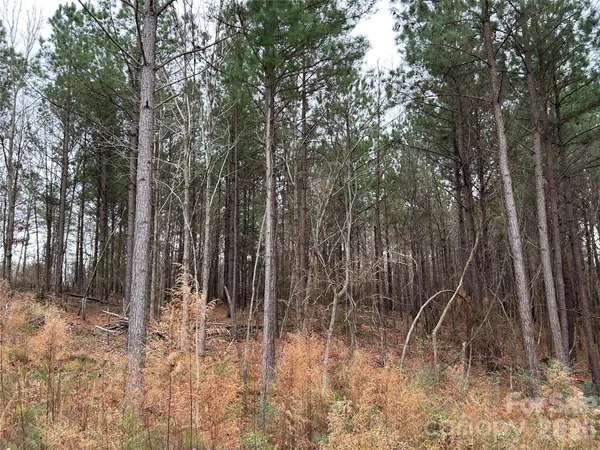 $750,000 | 1440 Carl Taylor Road, Peachland, NC 28133