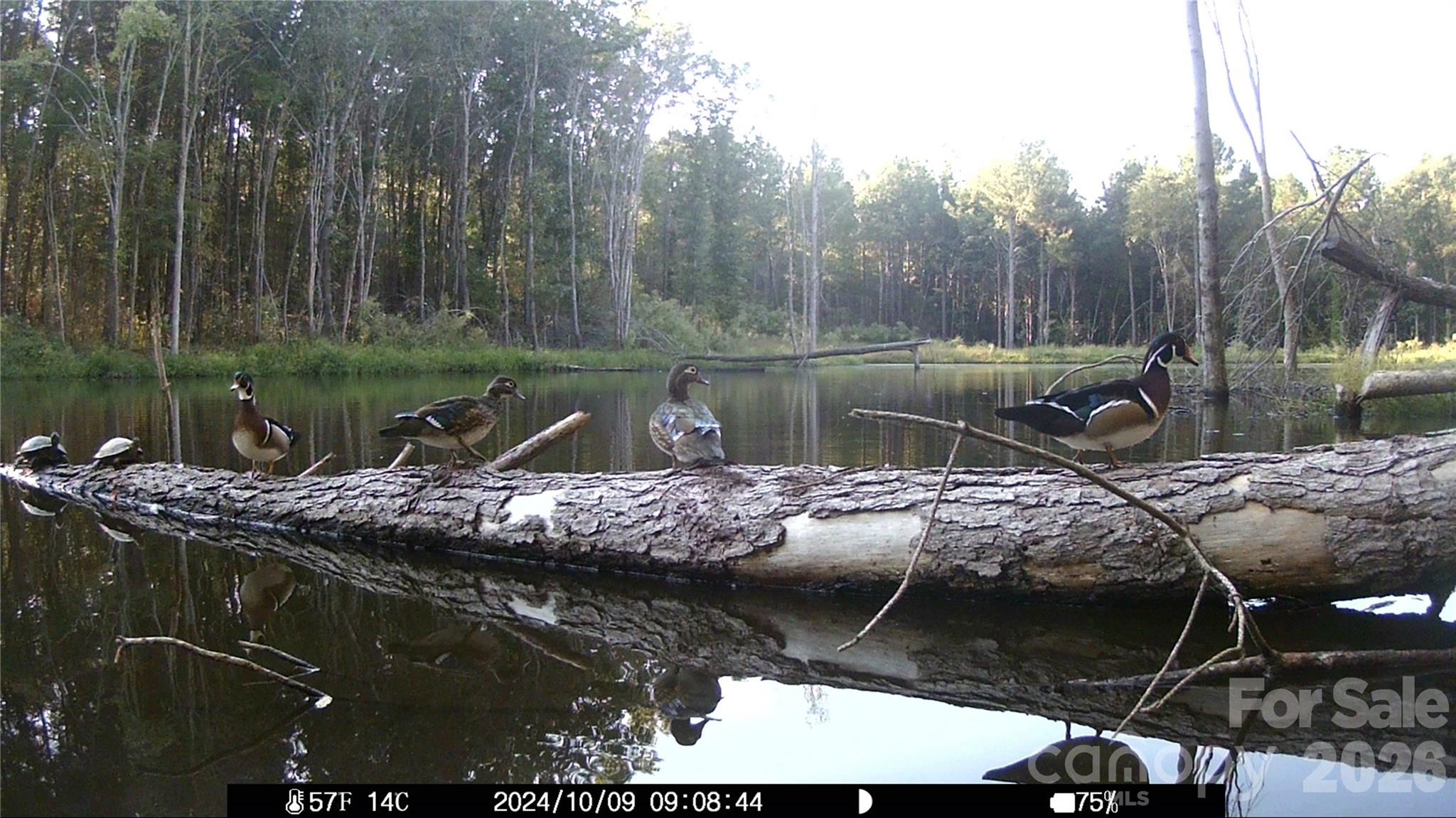 1440 Carl Taylor Road Peachland, NC 28133 - Photo 18 of 21 a view of a wooden floor and lake view