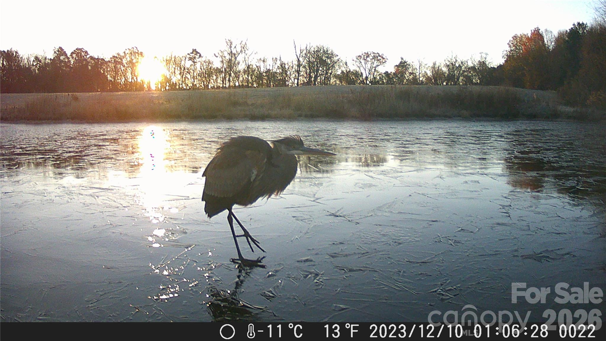 1440 Carl Taylor Road Peachland, NC 28133 - Photo 20 of 21 a view of a lake