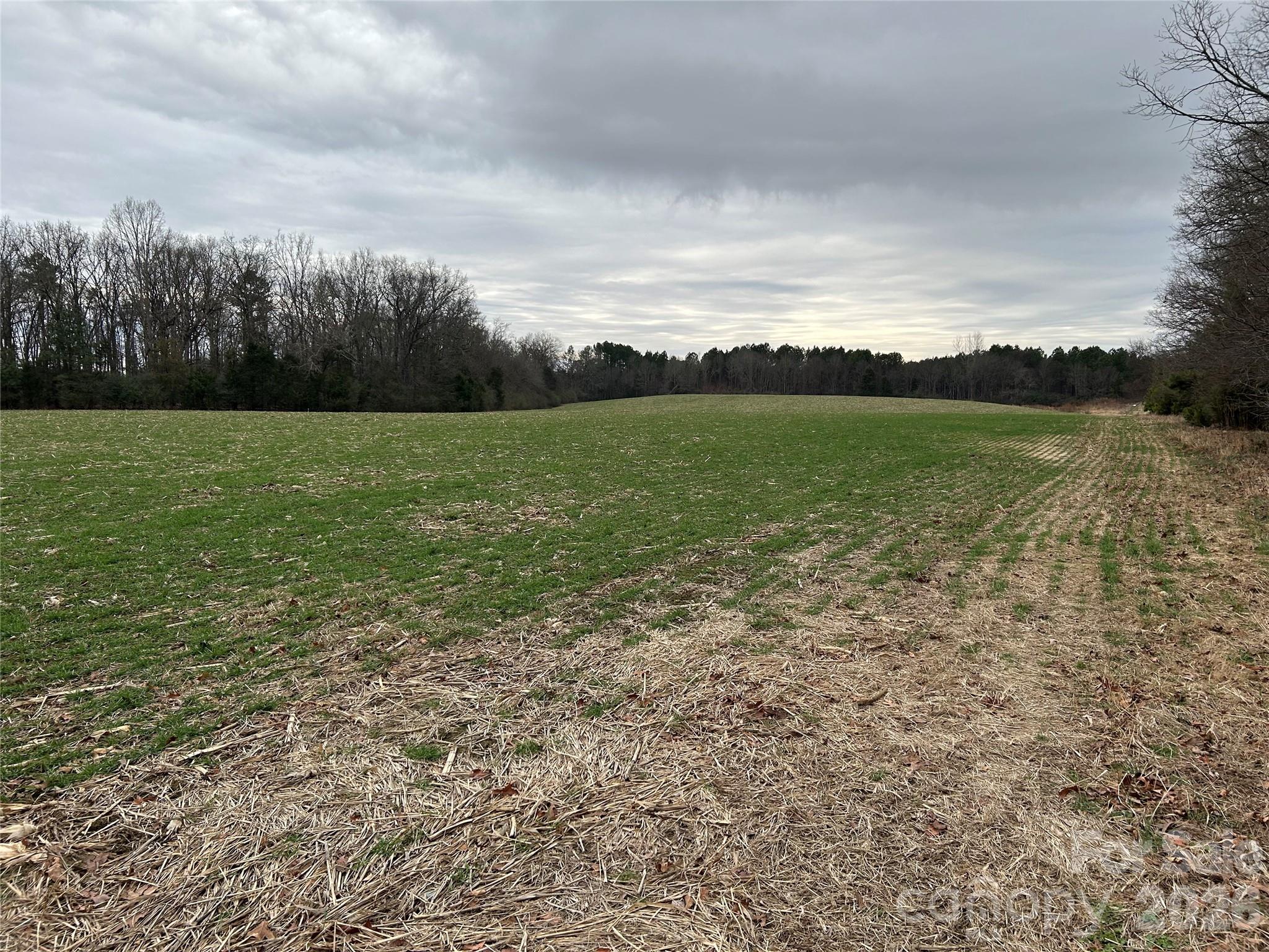 1440 Carl Taylor Road Peachland, NC 28133 - Photo 2 of 23